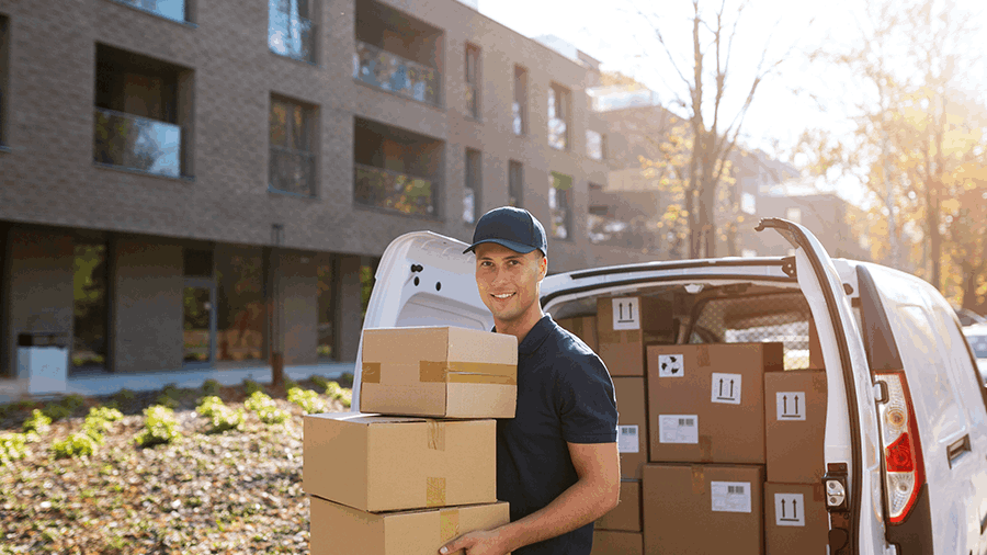 Next Day Delivery miniaturka