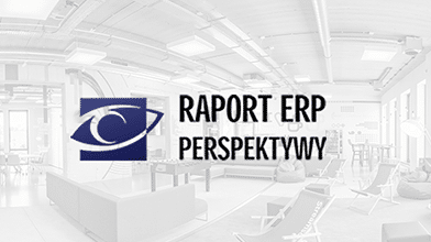 erp view - miniaturka