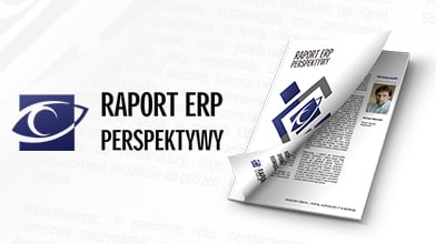 Raport ERP